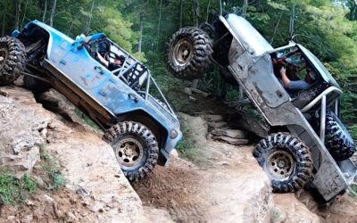 Chubby Chaser Chases Victory