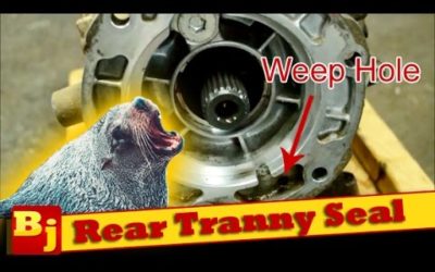 Replace a Leaking Rear Transmission Seal