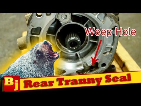 Replace a Leaking Rear Transmission Seal