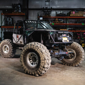 The Scorpion Crawler