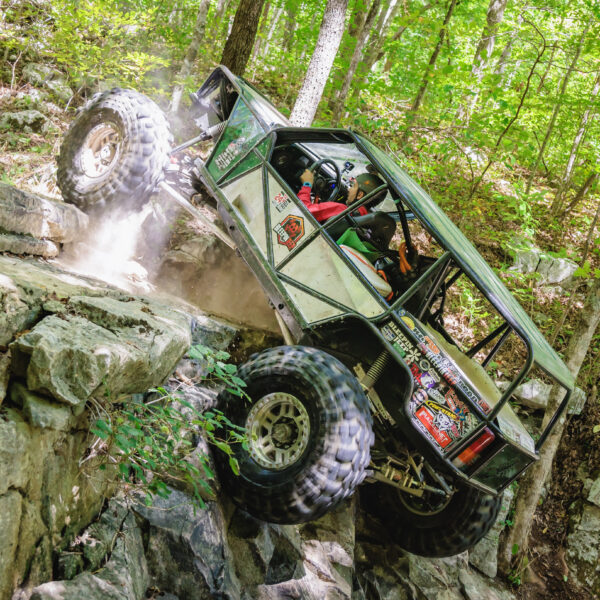 The Scorpion Crawler - Image 4