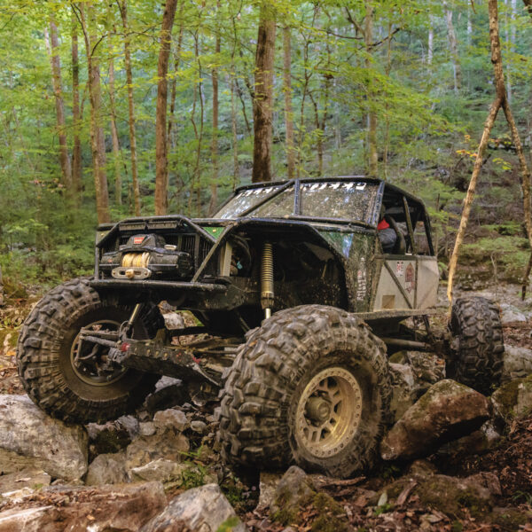 The Scorpion Crawler - Image 2