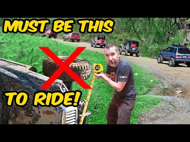 Only Rule: 33″ Max — No Exceptions!
